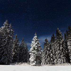 新有菜电影免费观看最新一期
