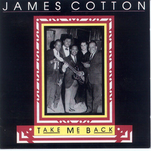 新有菜电影免费观看最新一期
