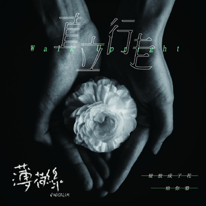 新有菜电影免费观看最新一期
