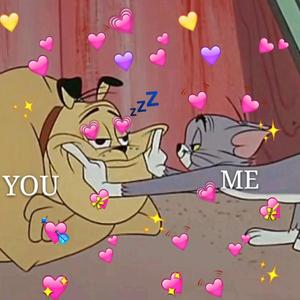 新有菜电影免费观看最新一期
