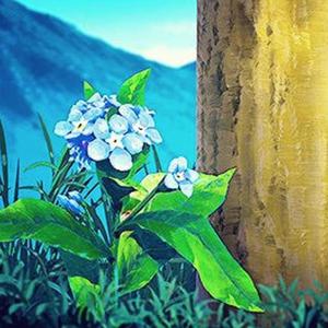 新有菜电影免费观看最新一期
