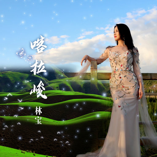 新有菜电影免费观看最新一期
