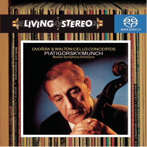 新有菜电影免费观看最新一期
